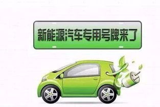 東營新能源號牌26日正式啟動，專用汽車可選號段公布